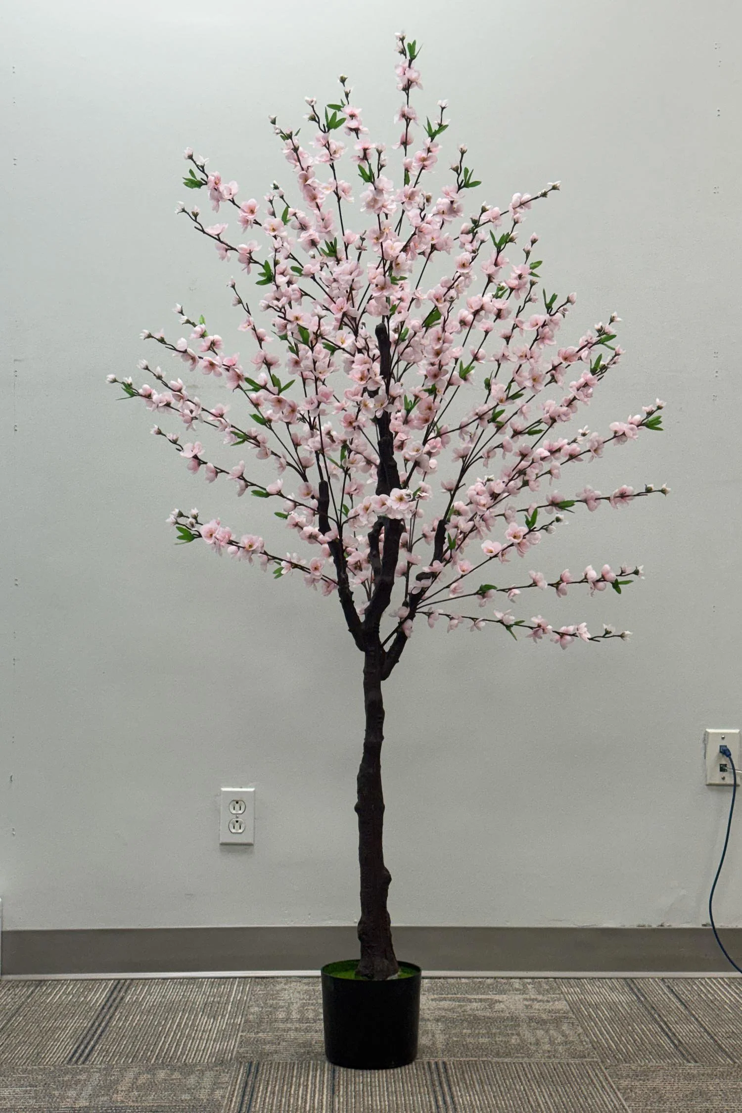 wall panel closeup-1 14.JPG