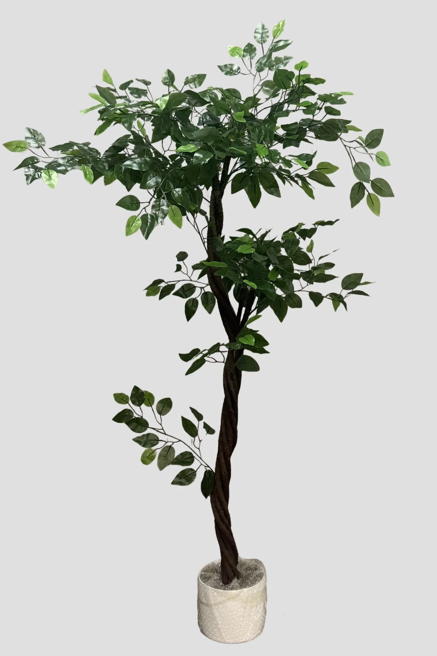 Ficus 3683 150cm - $59.jpg