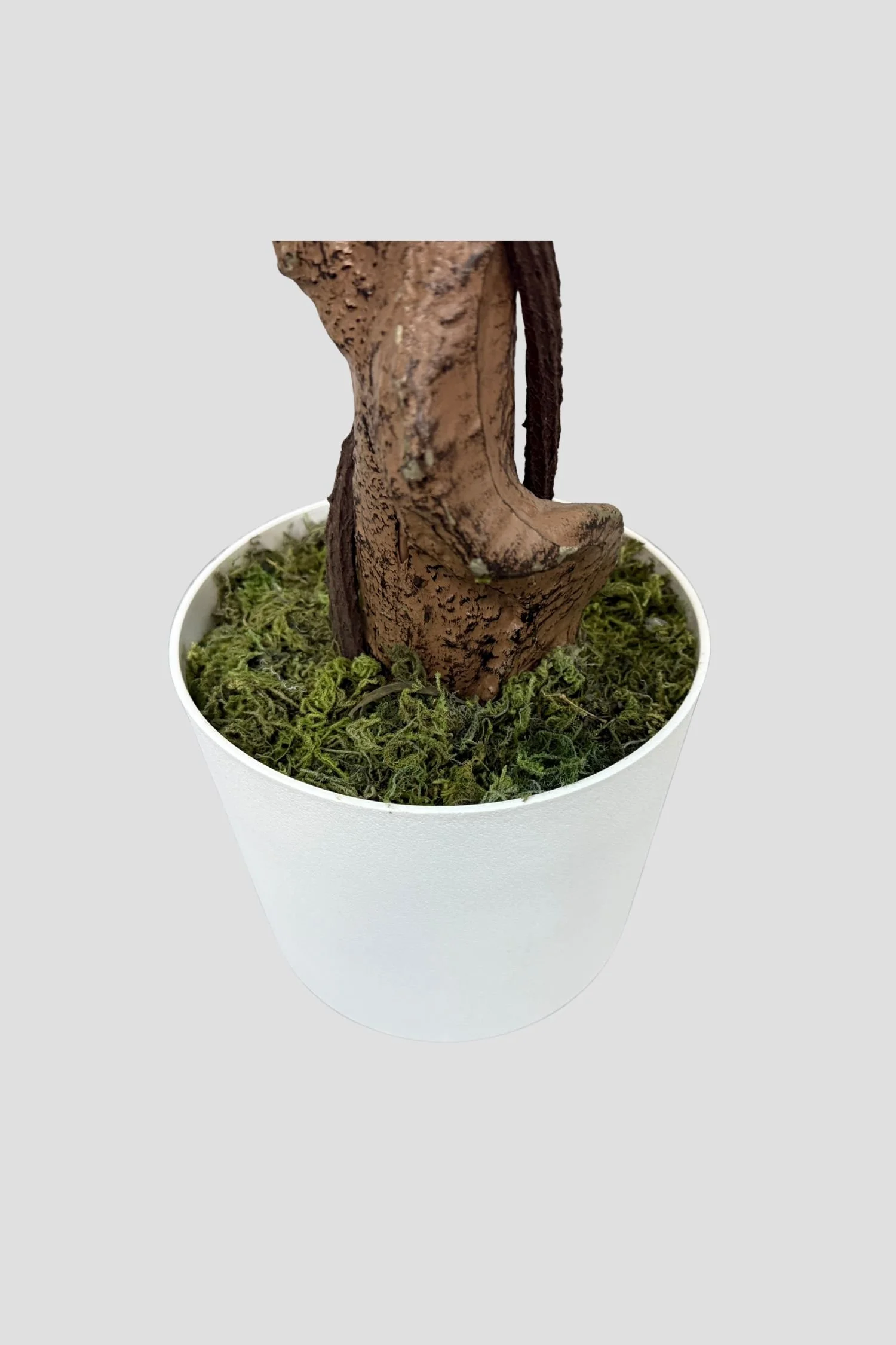 60.jpg