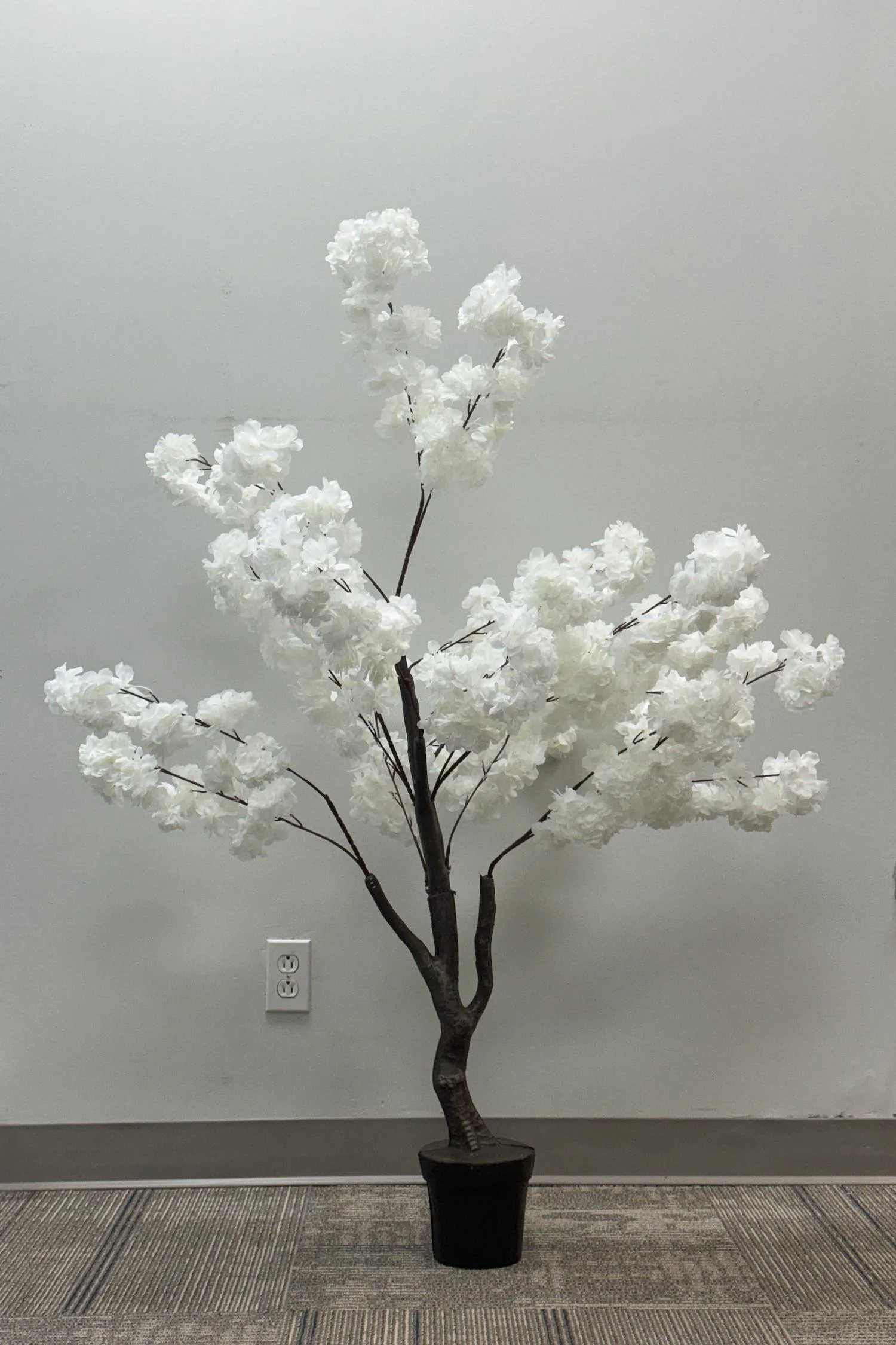 wall panel closeup-1 10.JPG