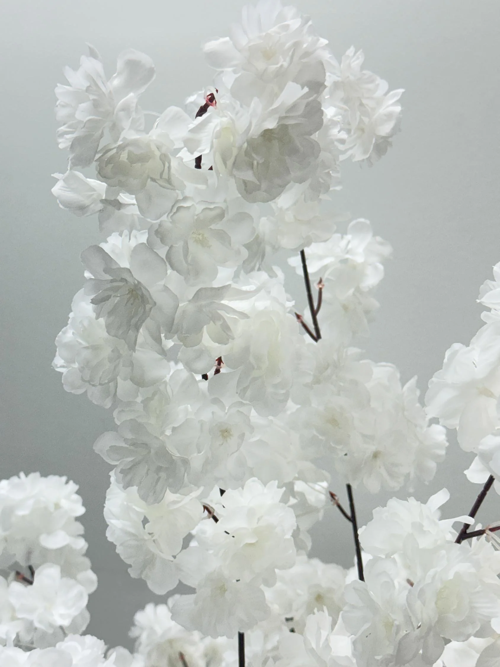 wall panel closeup-1 23.JPG