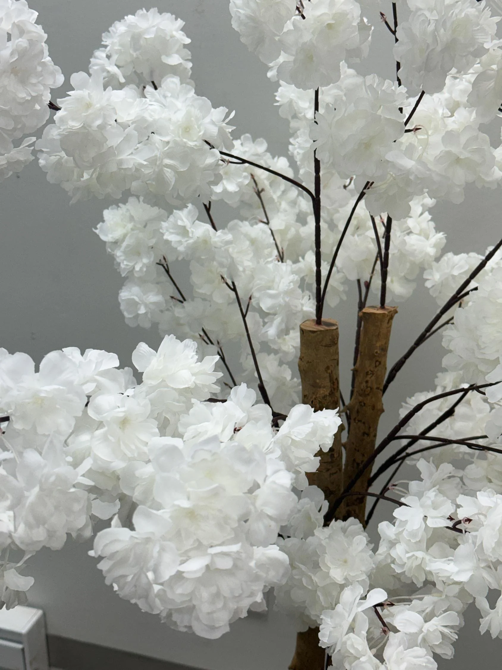 wall panel closeup-1 22.JPG