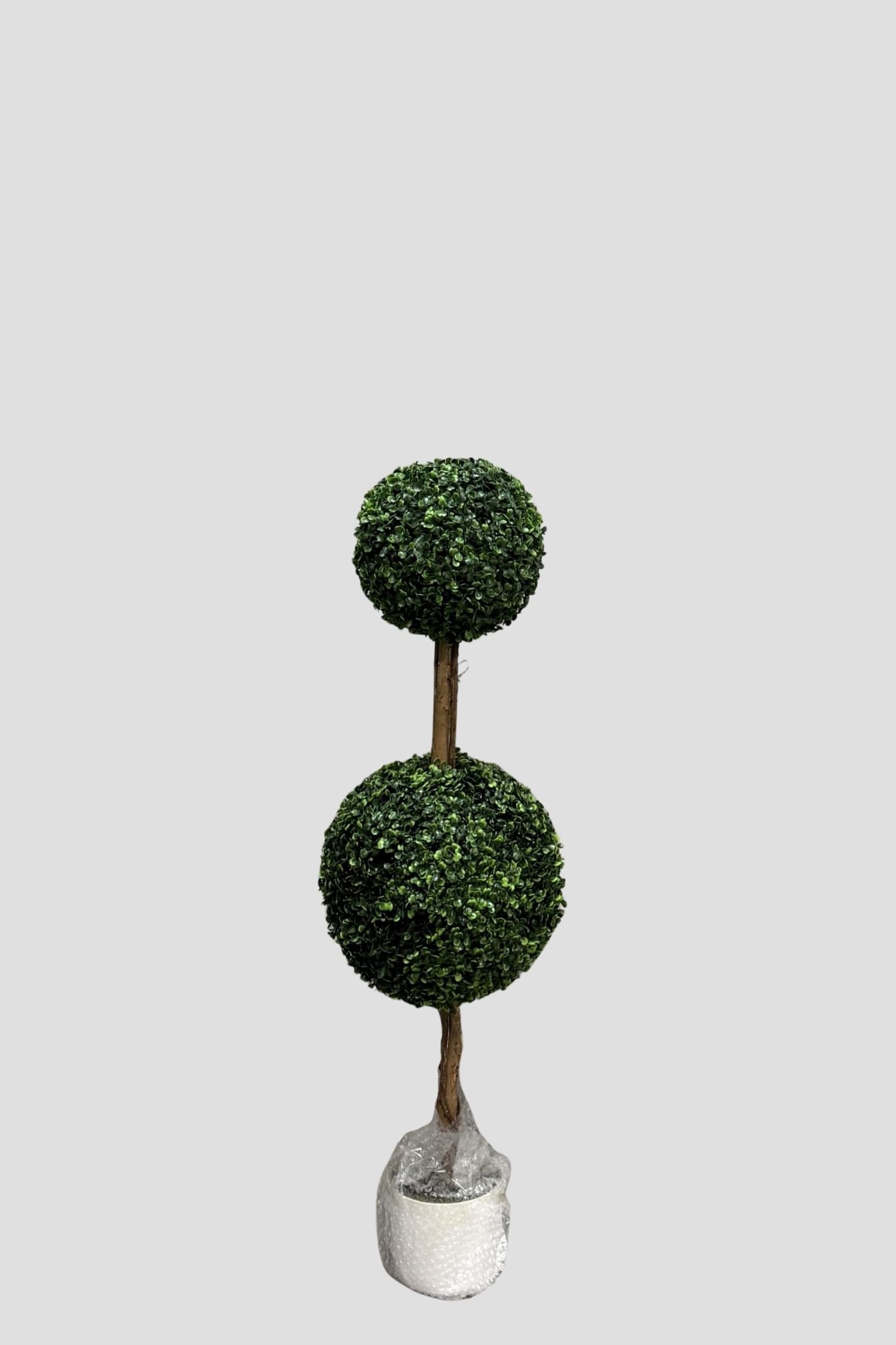 Boxwood 3918 105cm - $45.jpg
