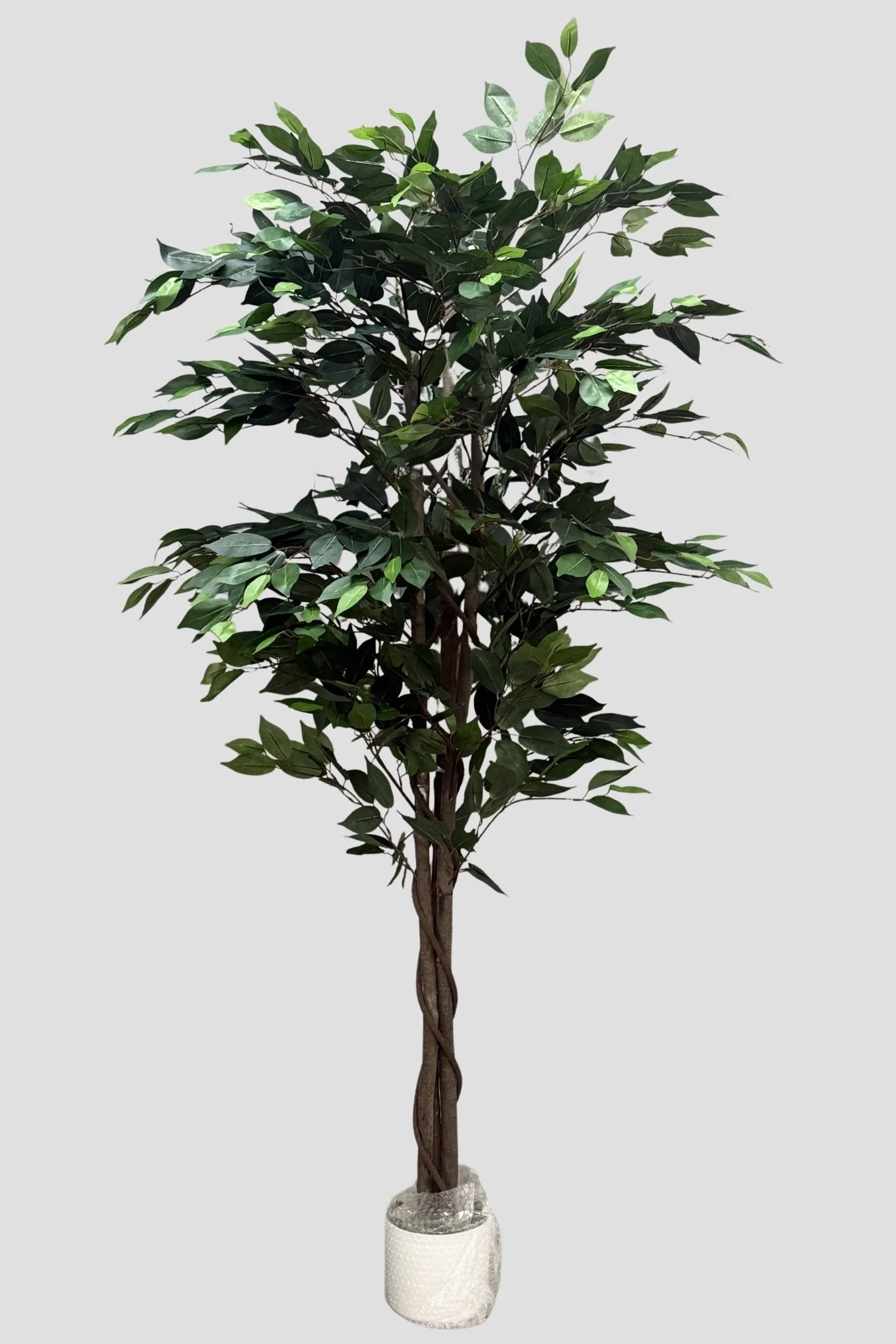 Ficus 2708 180cm - $89.jpg
