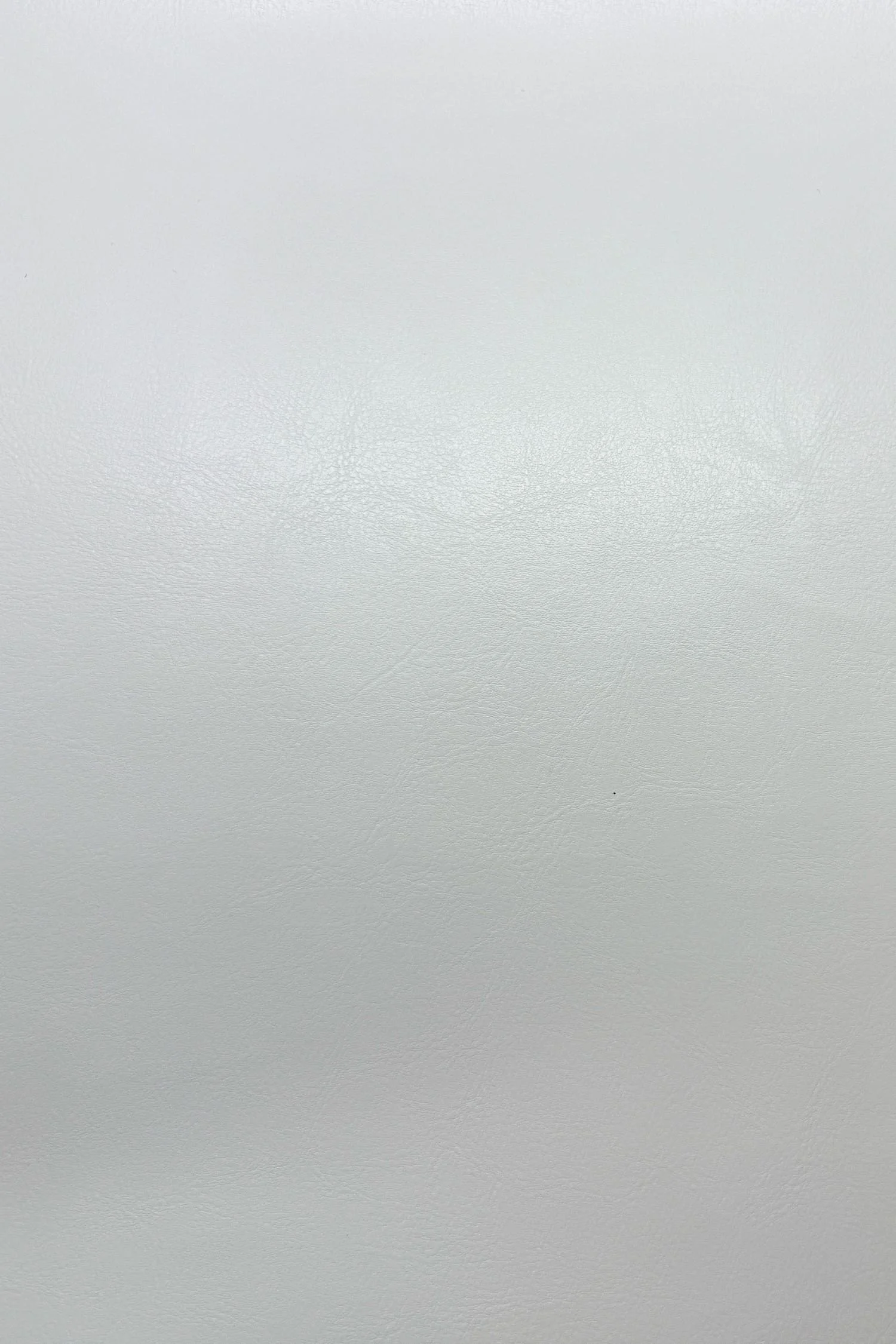 Palmer-Snow.jpg