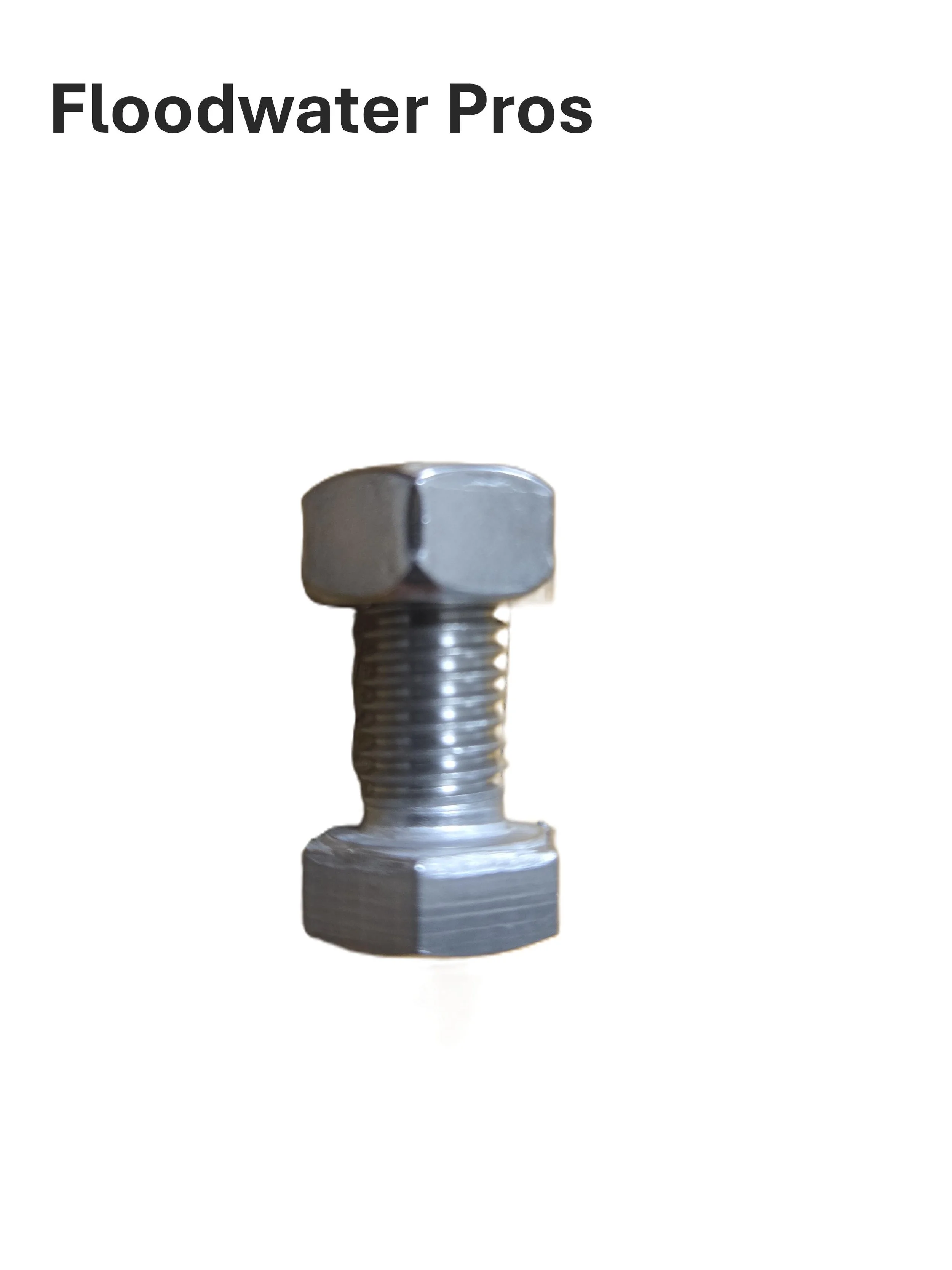 10mm 316 SS Bolt and Nut
