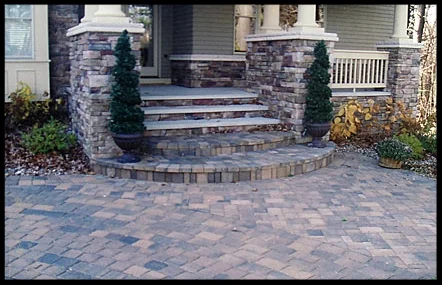 Stone steps leading to a house entrance with potted plants on either side, surrounded by a paved driveway or walkway.