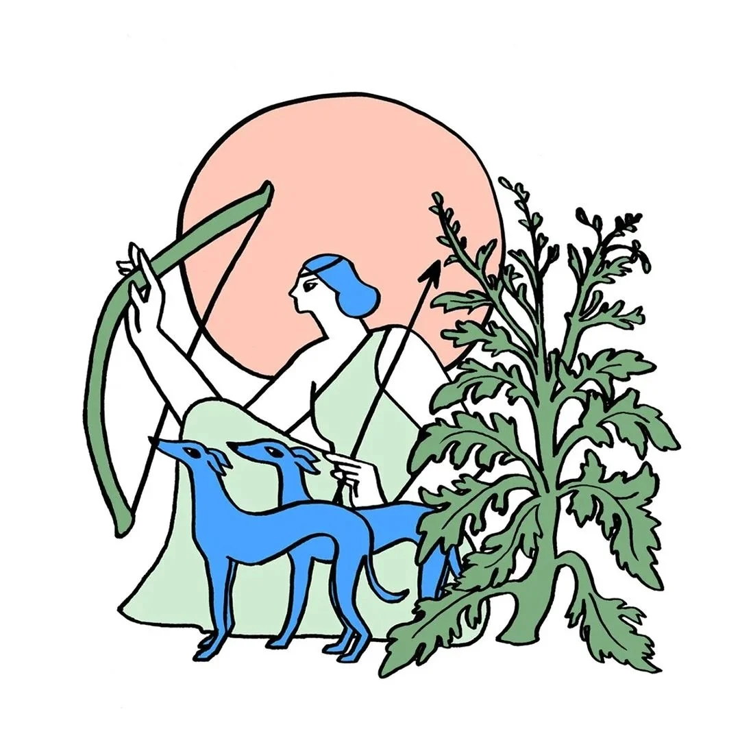 Happy Full Moon &amp; Notes on Mugwort