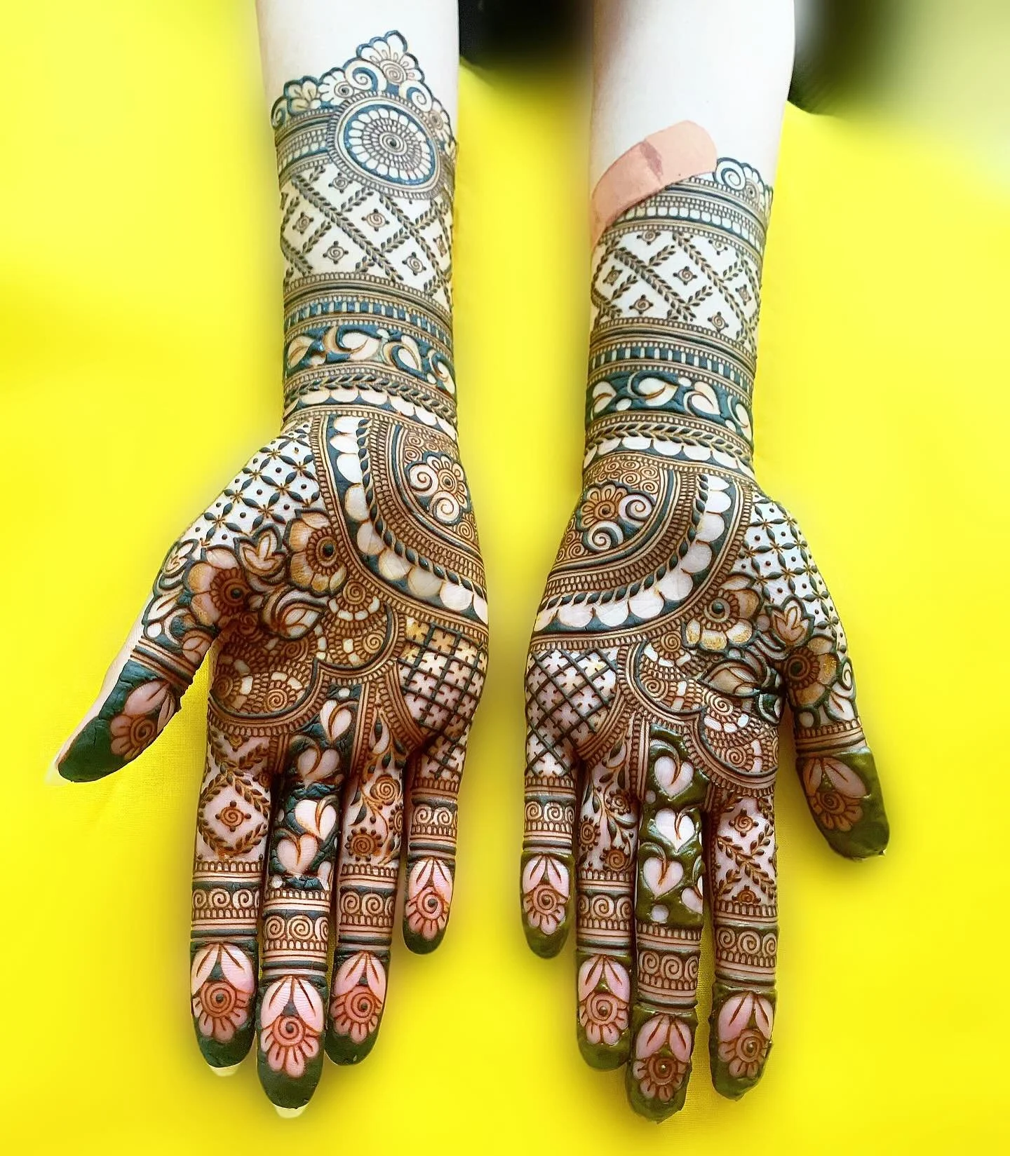 Afreen&rsquo;s Bridal Henna🌸