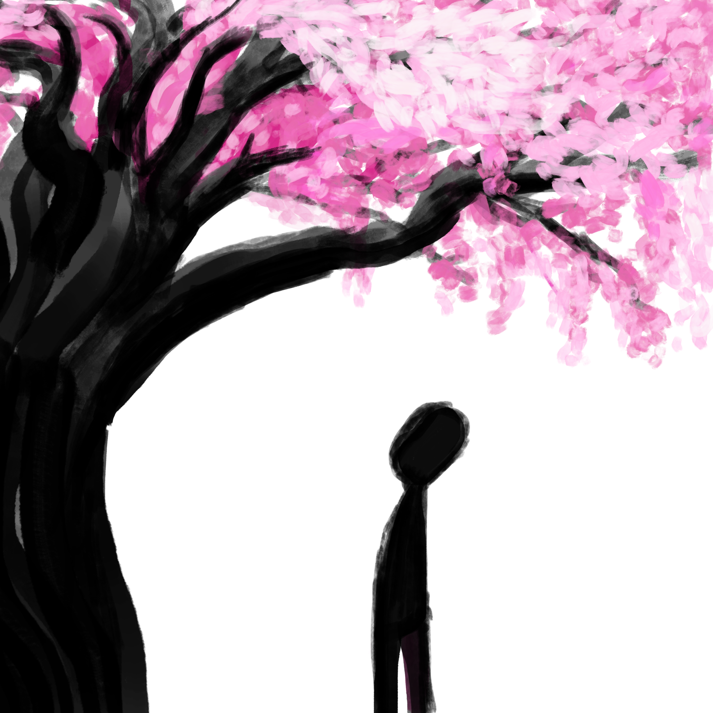 The Cherry Tree in the Sky