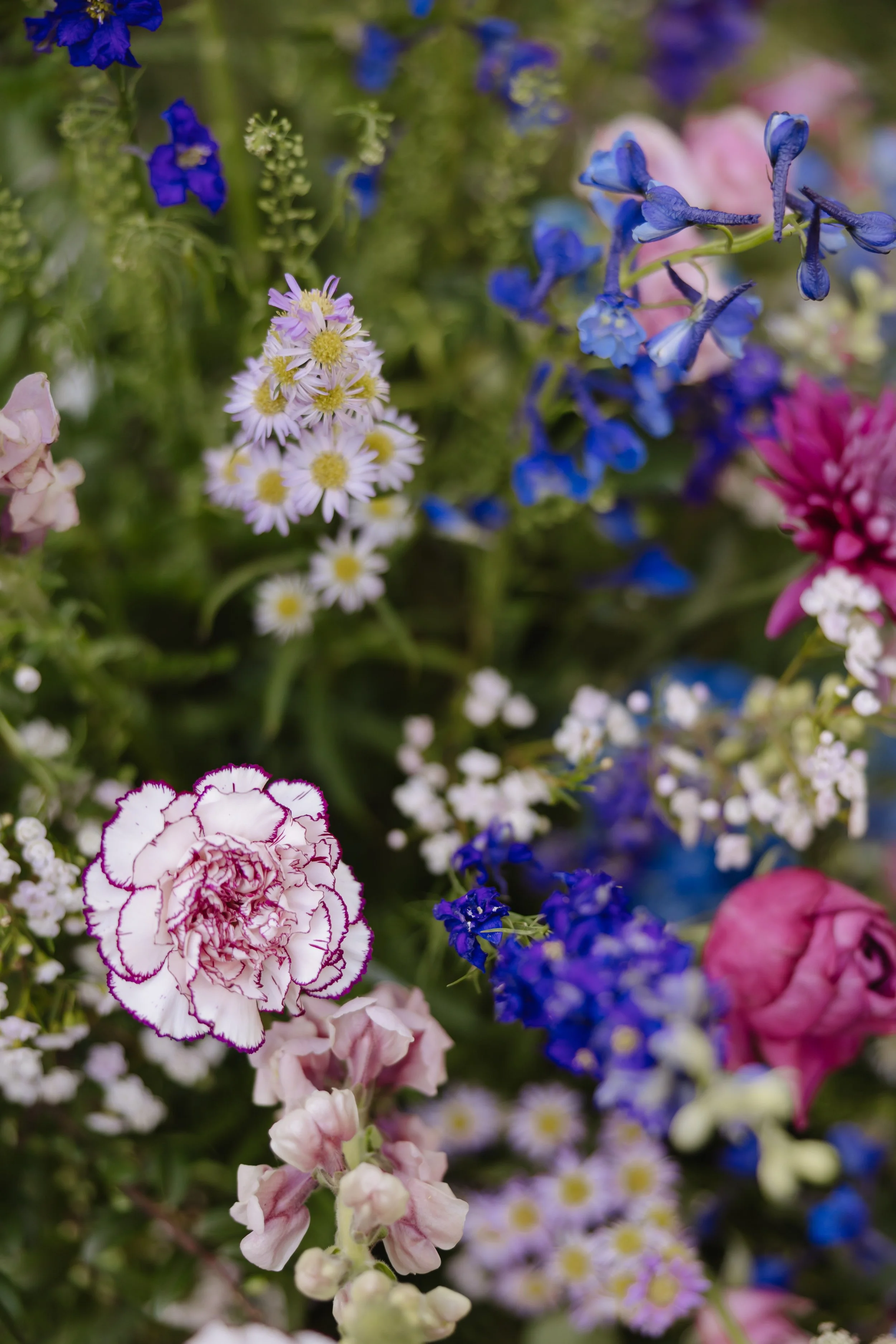Weddings on the Hill Event Previews-22.jpg