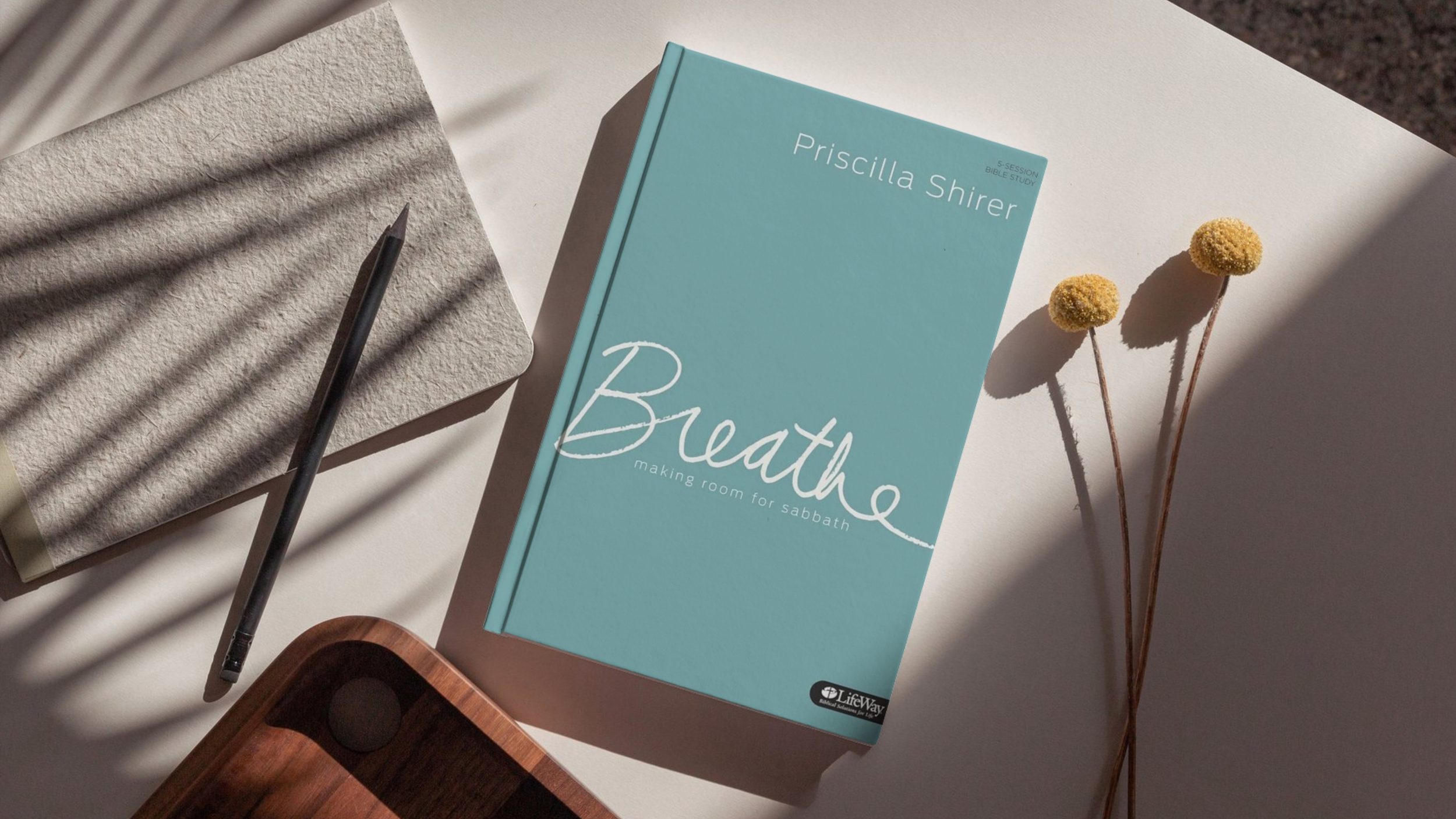 Sisters Who Care Virtual Book Study