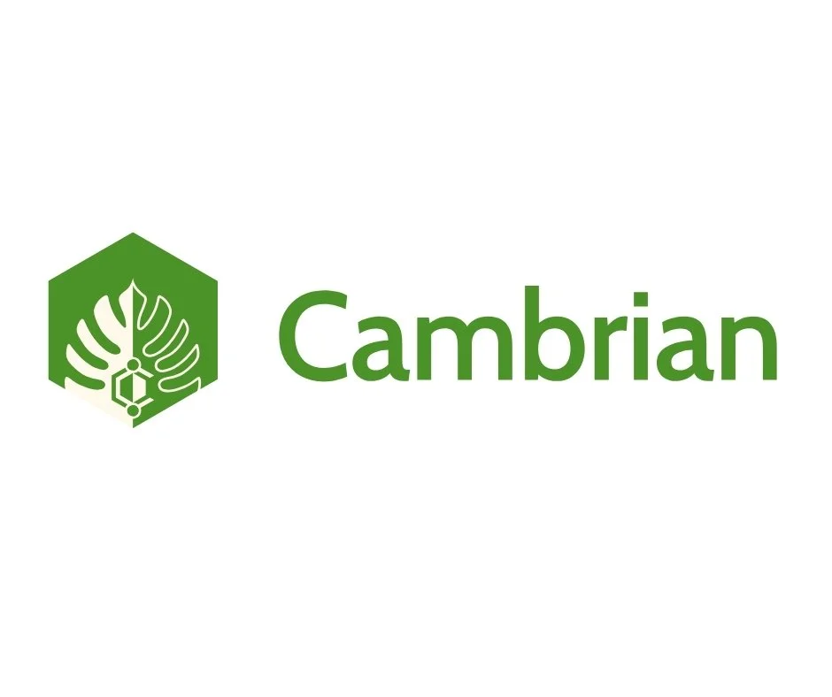 CAMBRIAN.jpg