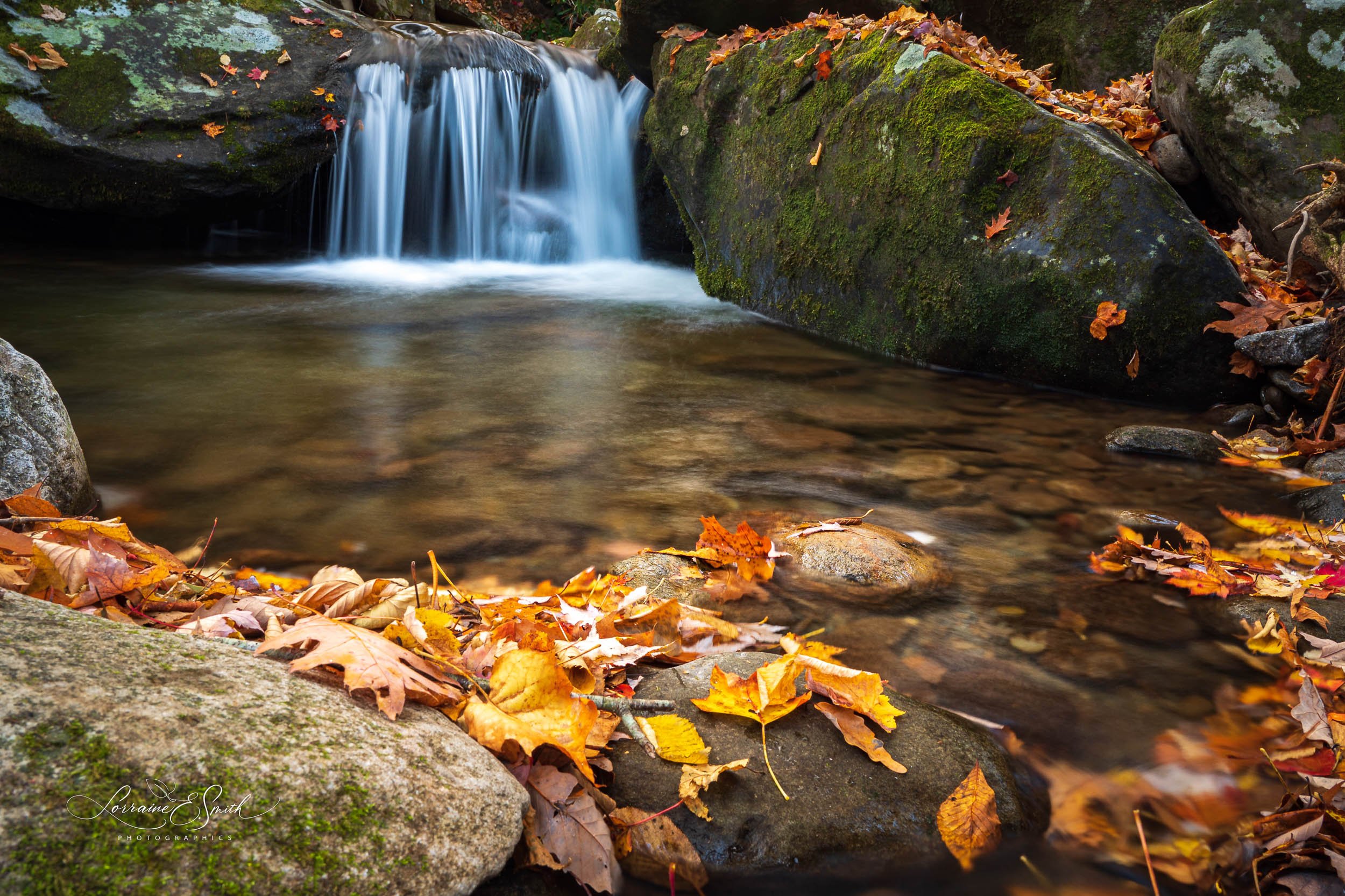 A Graceful Fall