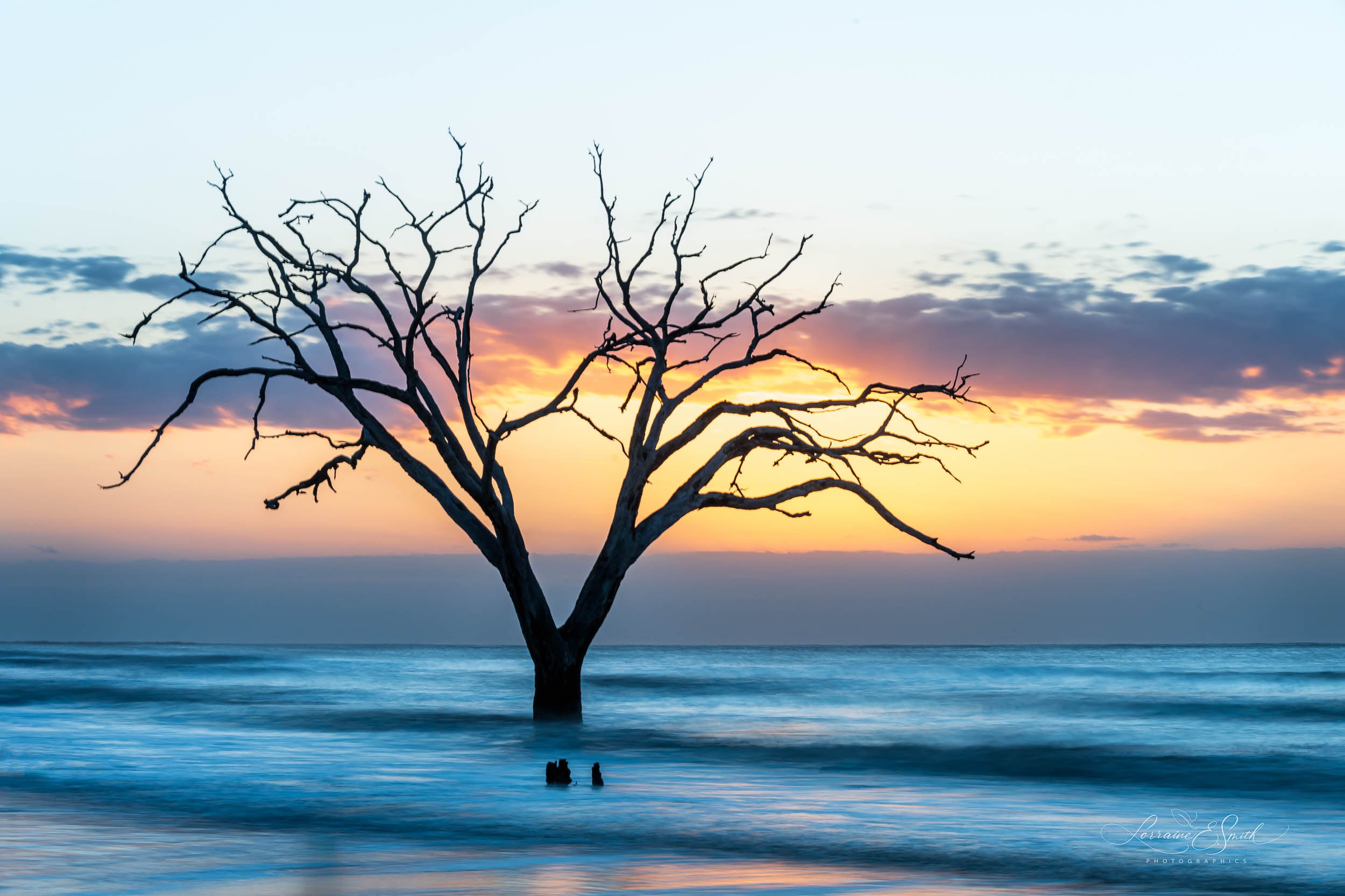Morning Silhouette