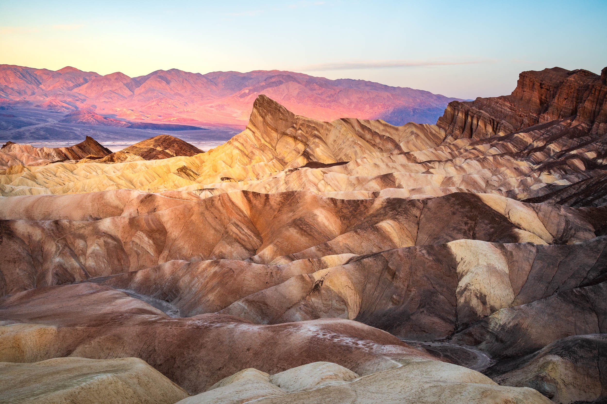 Mr. Zabriskie
