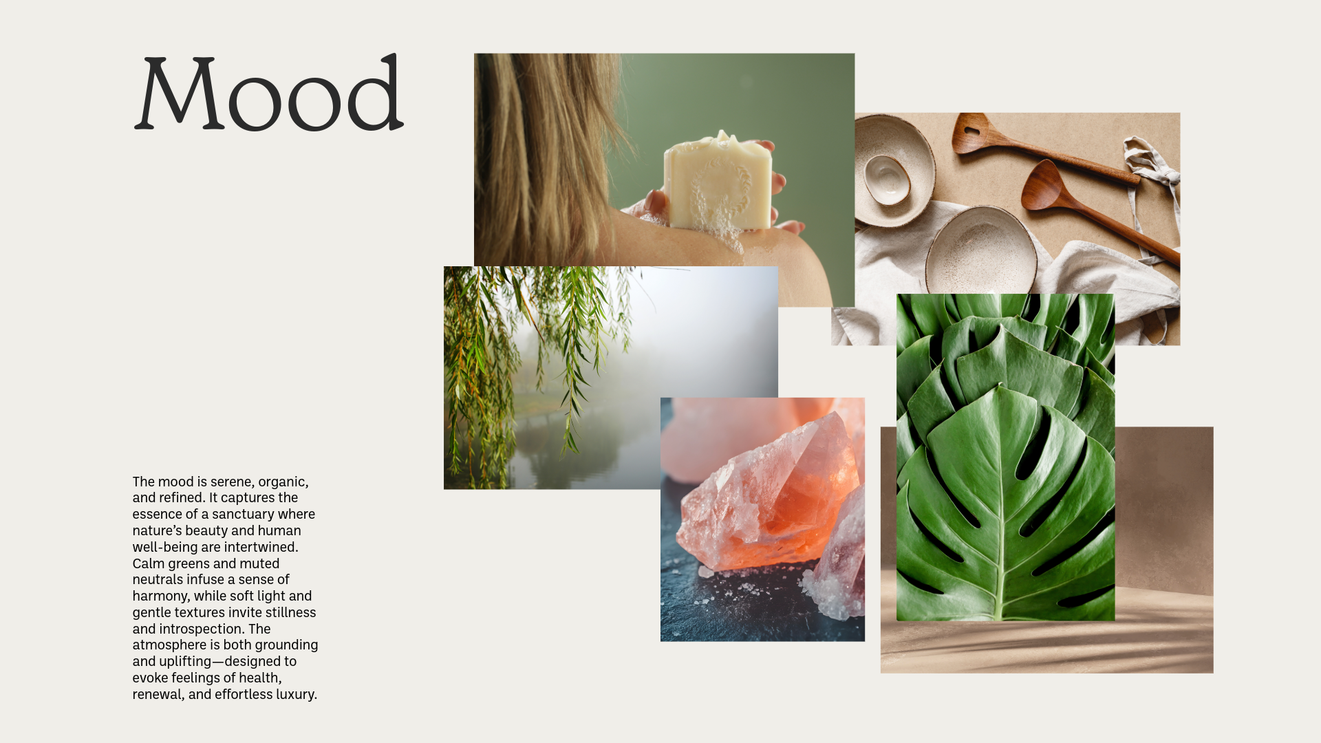 Willow & Fern Brand Guidelines-9.png