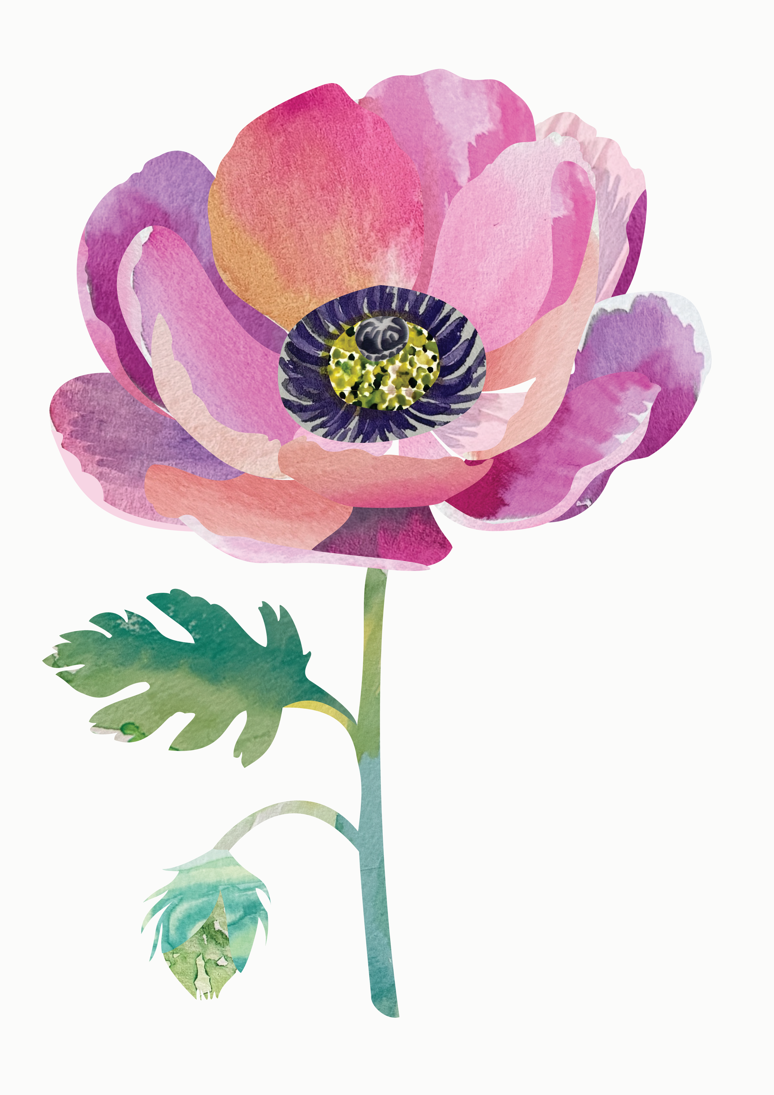 Watercolor_flower_tinted.png