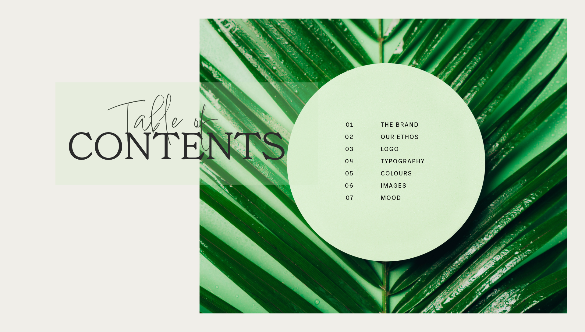Willow & Fern Brand Guidelines-2.png