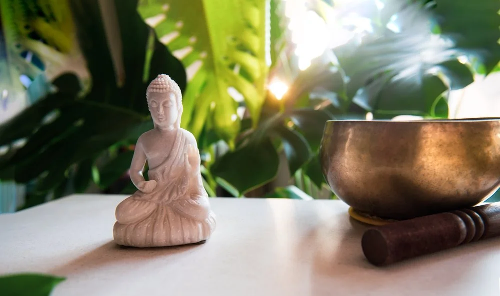 Rooted: A Plant Sound Bath & Reiki Experience