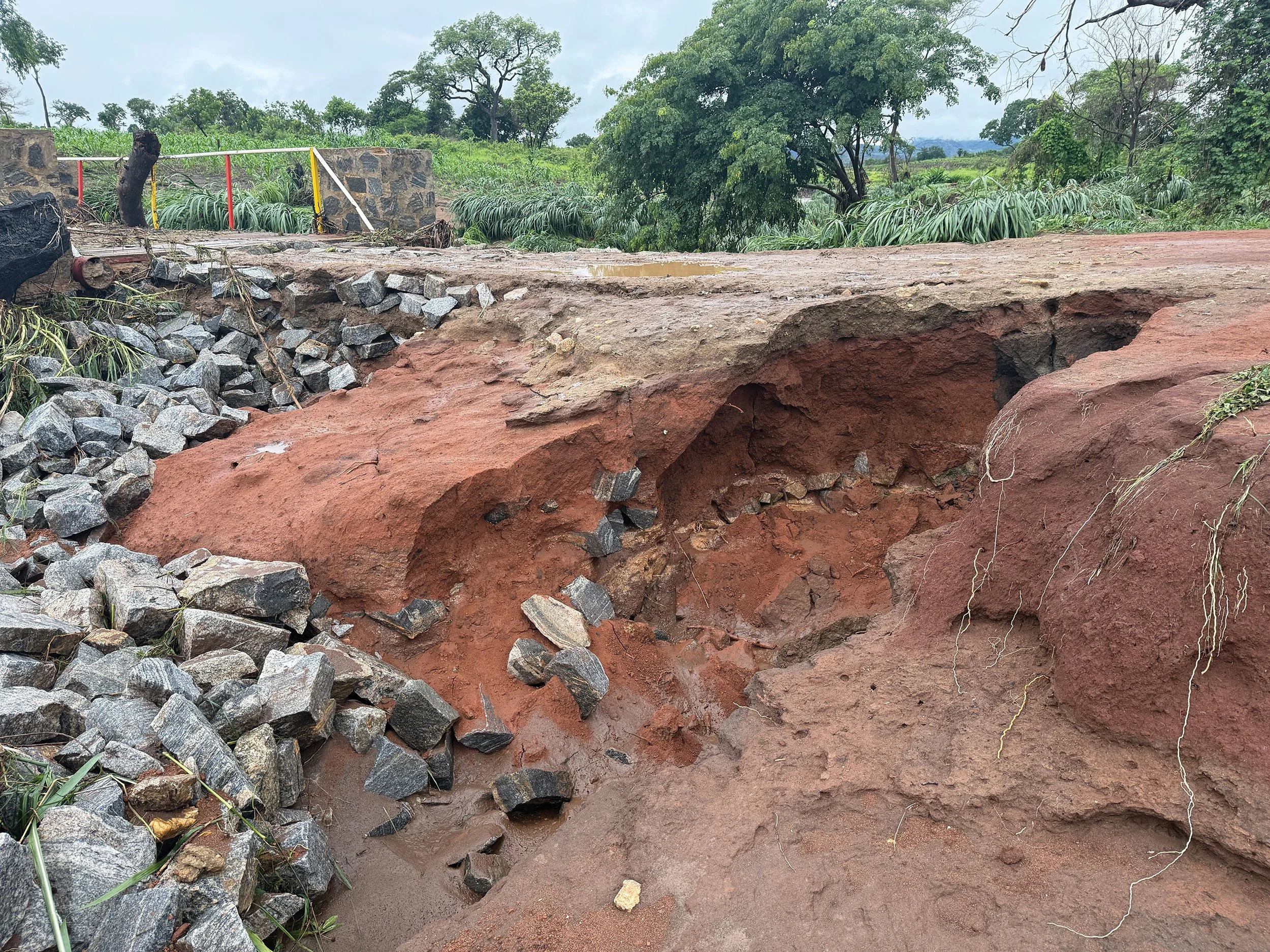 February 2026 Newsletter