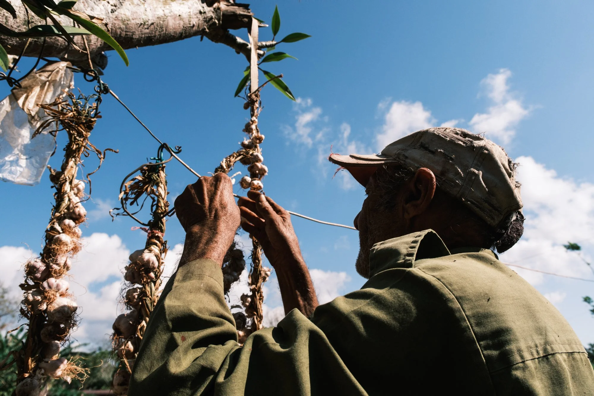 5-DSCF3037.jpg
