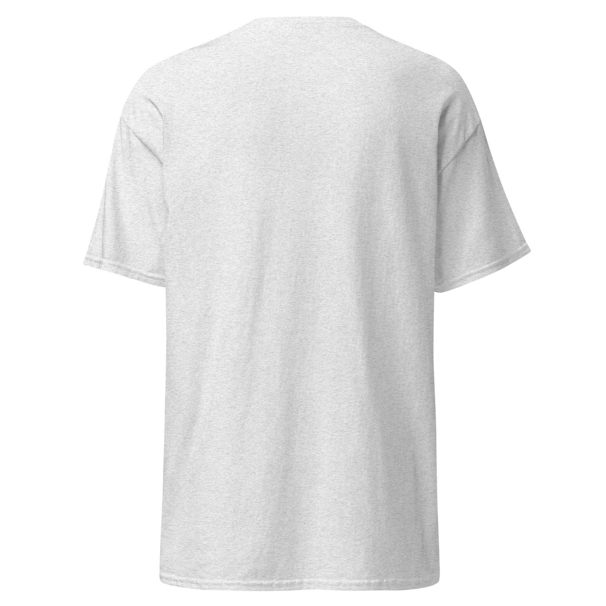 unisex-classic-tee-ash-back-6848a2f3c97e2.jpg