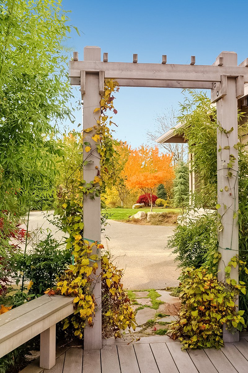 arbor395.jpg