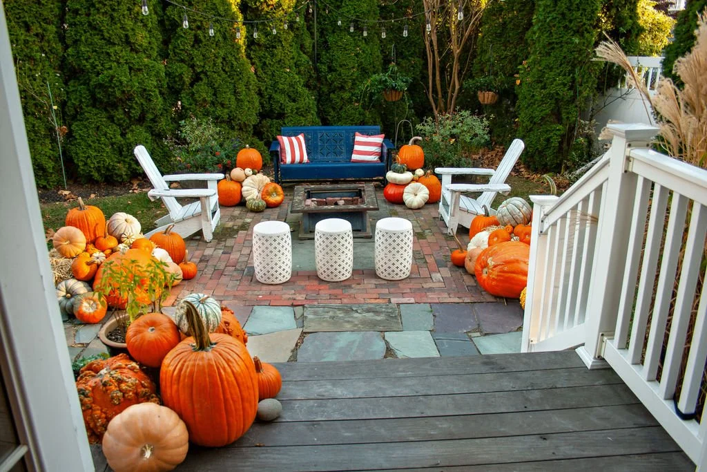 Backyard Fahy.jpg