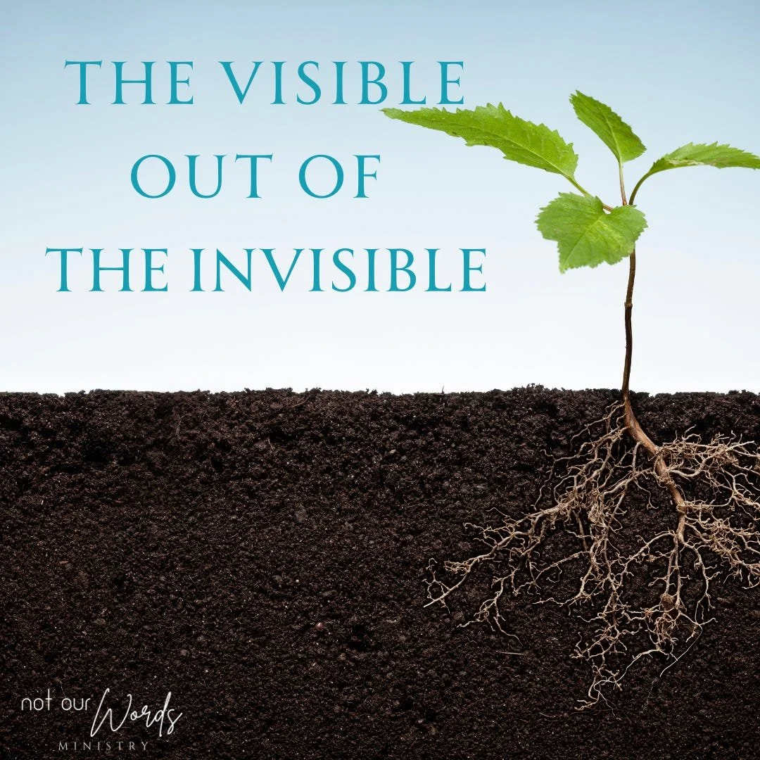 The Visible Out of the Invisible