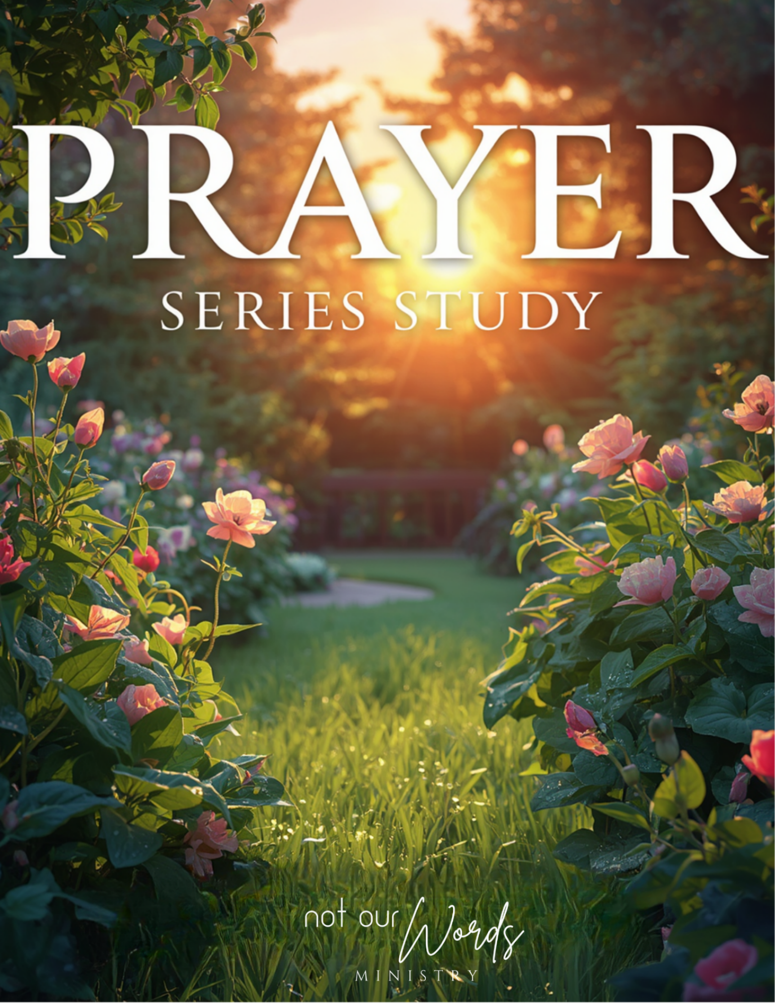 Bible Study Covers (1).png