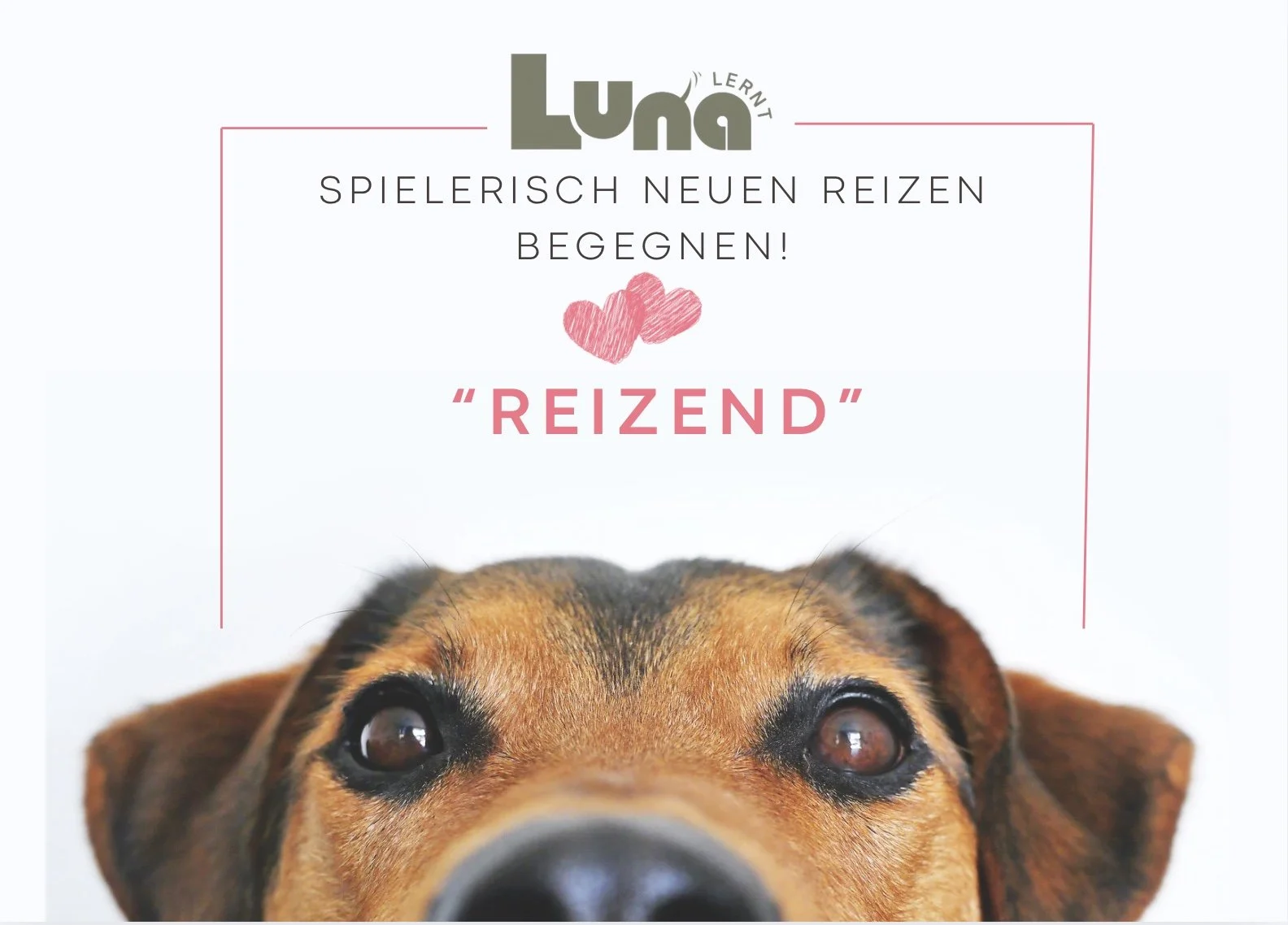 Bild 13.04.26 um 17.47.jpeg