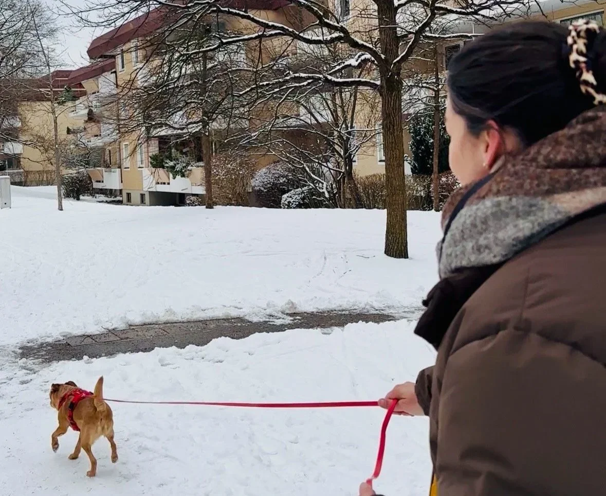Bedürfnisorientiertes Mantrailing – was steckt dahinter?