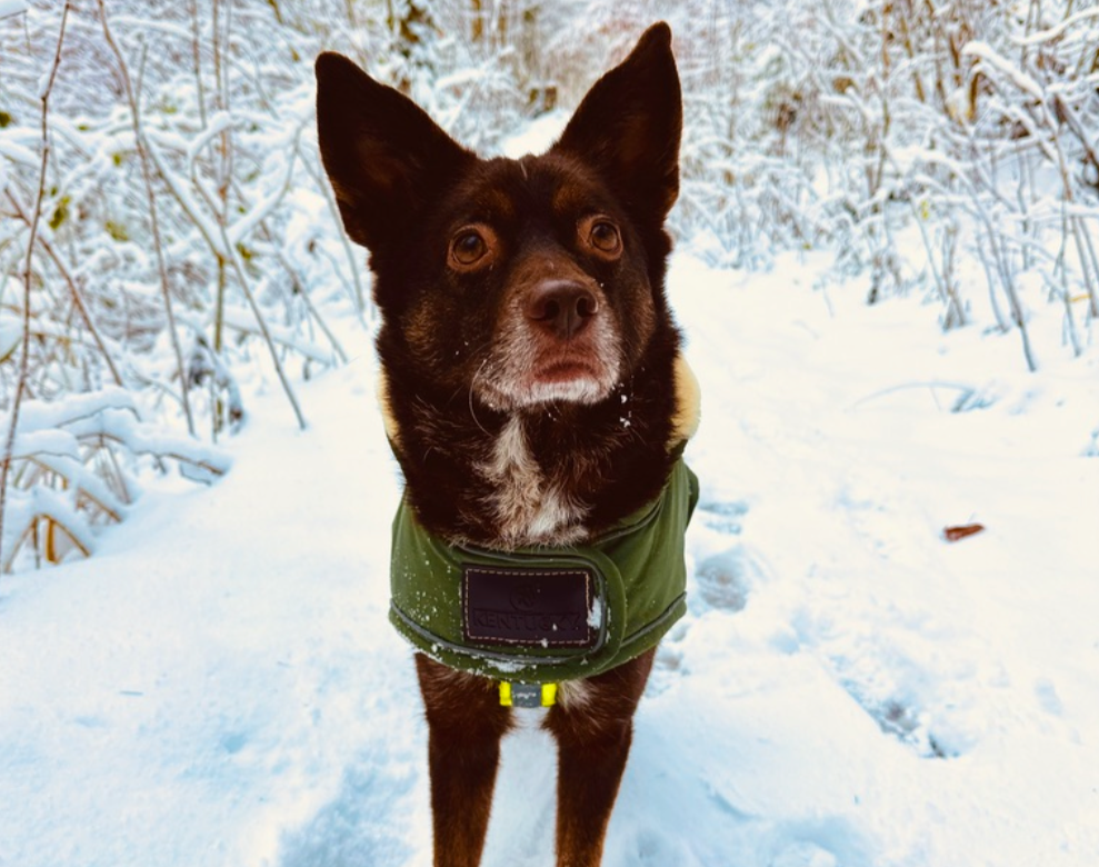 Kurze Spaziergänge sinnvoll gestalten