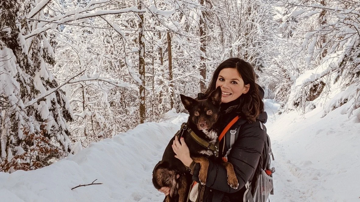 Hunde trainieren ohne Strafe - geht das?