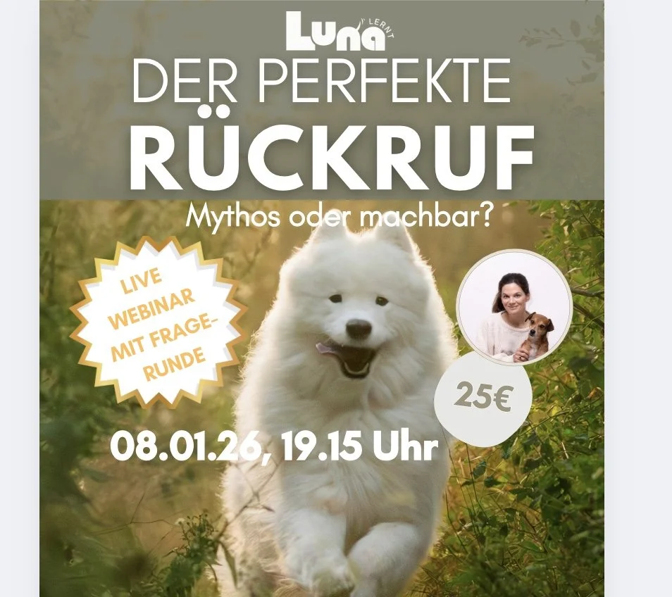 Bild 23.12.25 um 14.52.jpeg