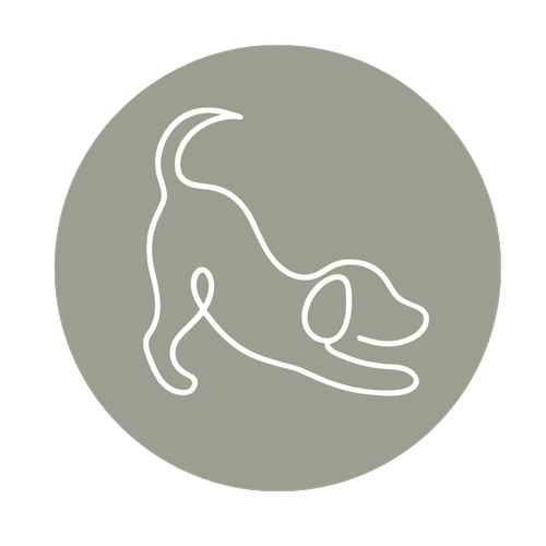 Hundebegegnungen