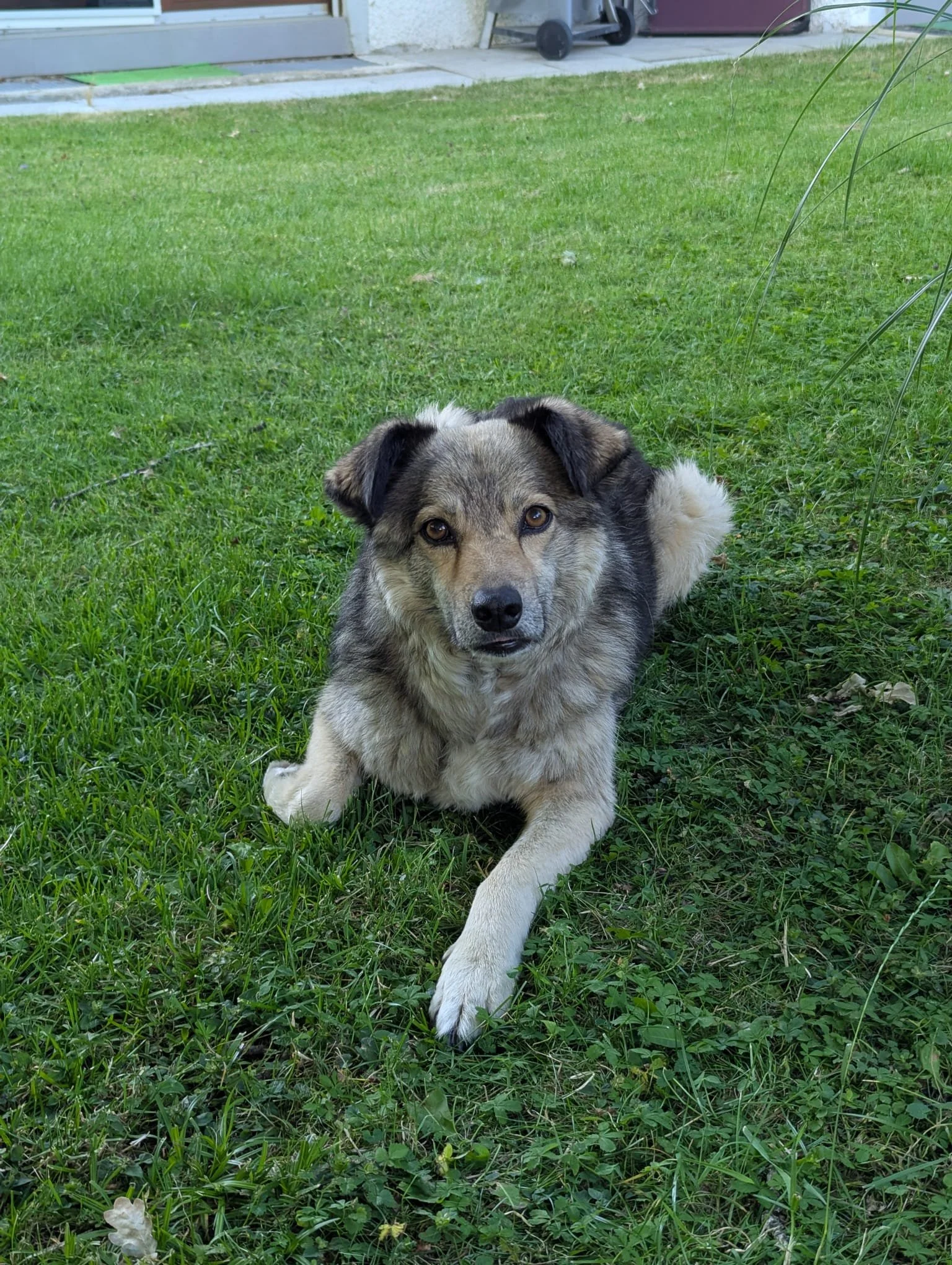 WhatsApp Image 2025-07-26 at 16.35.23.jpeg