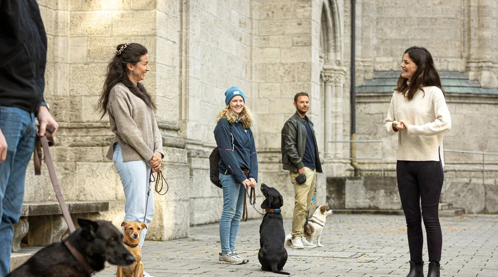 Social Walk Gruppenkurs in München