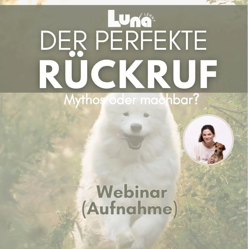 Der Perfekte Rückruf