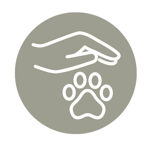 Tierschutzhunde