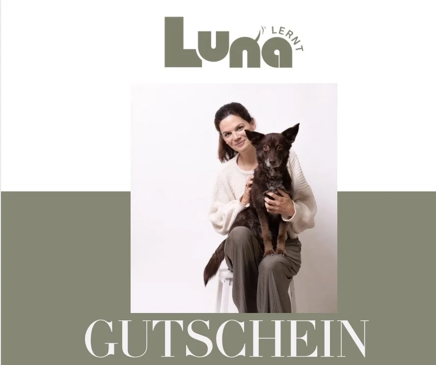 Bild 23.12.25 um 14.31.jpeg