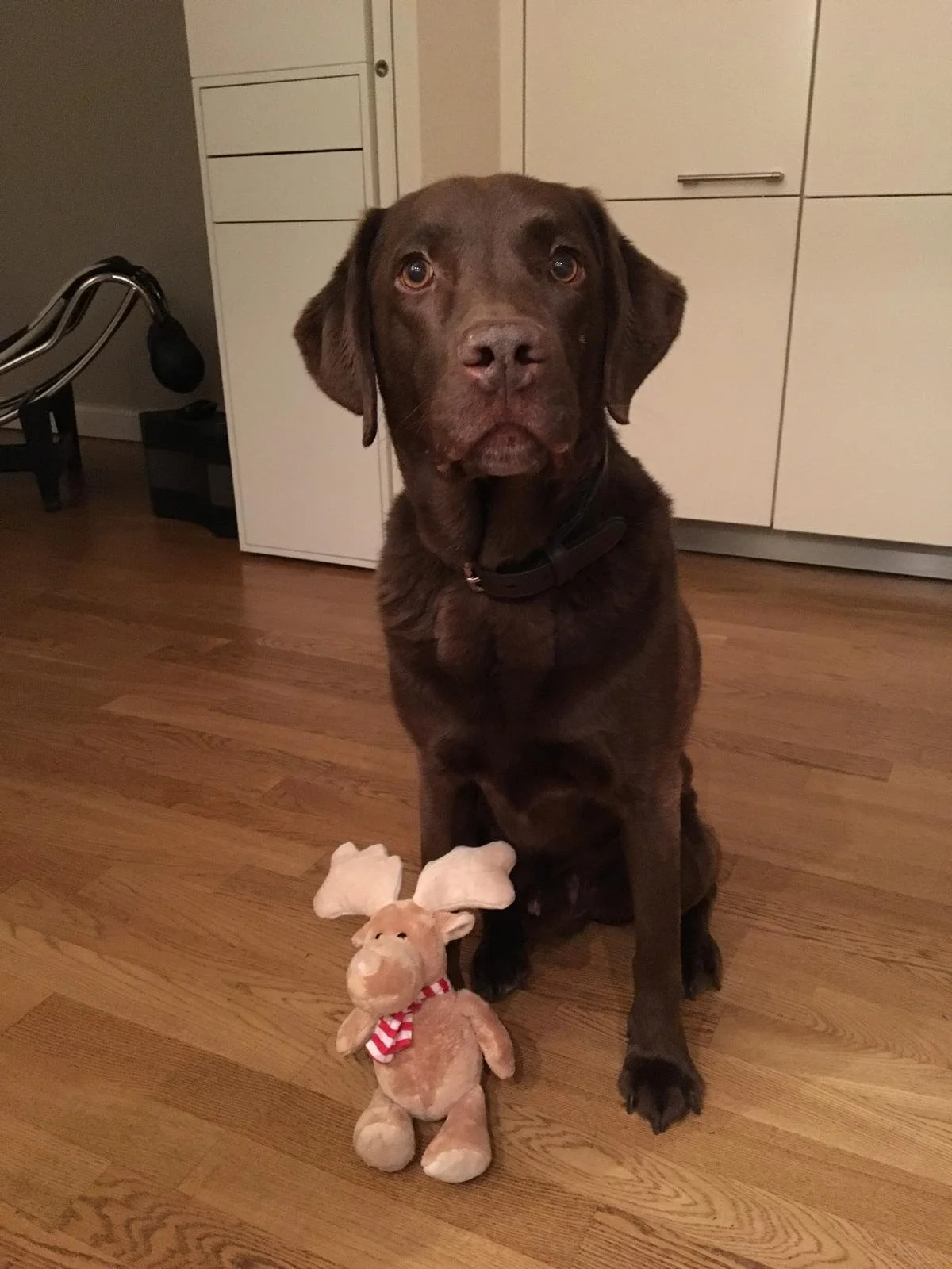 WhatsApp Image 2025-07-26 at 11.05.04.jpeg