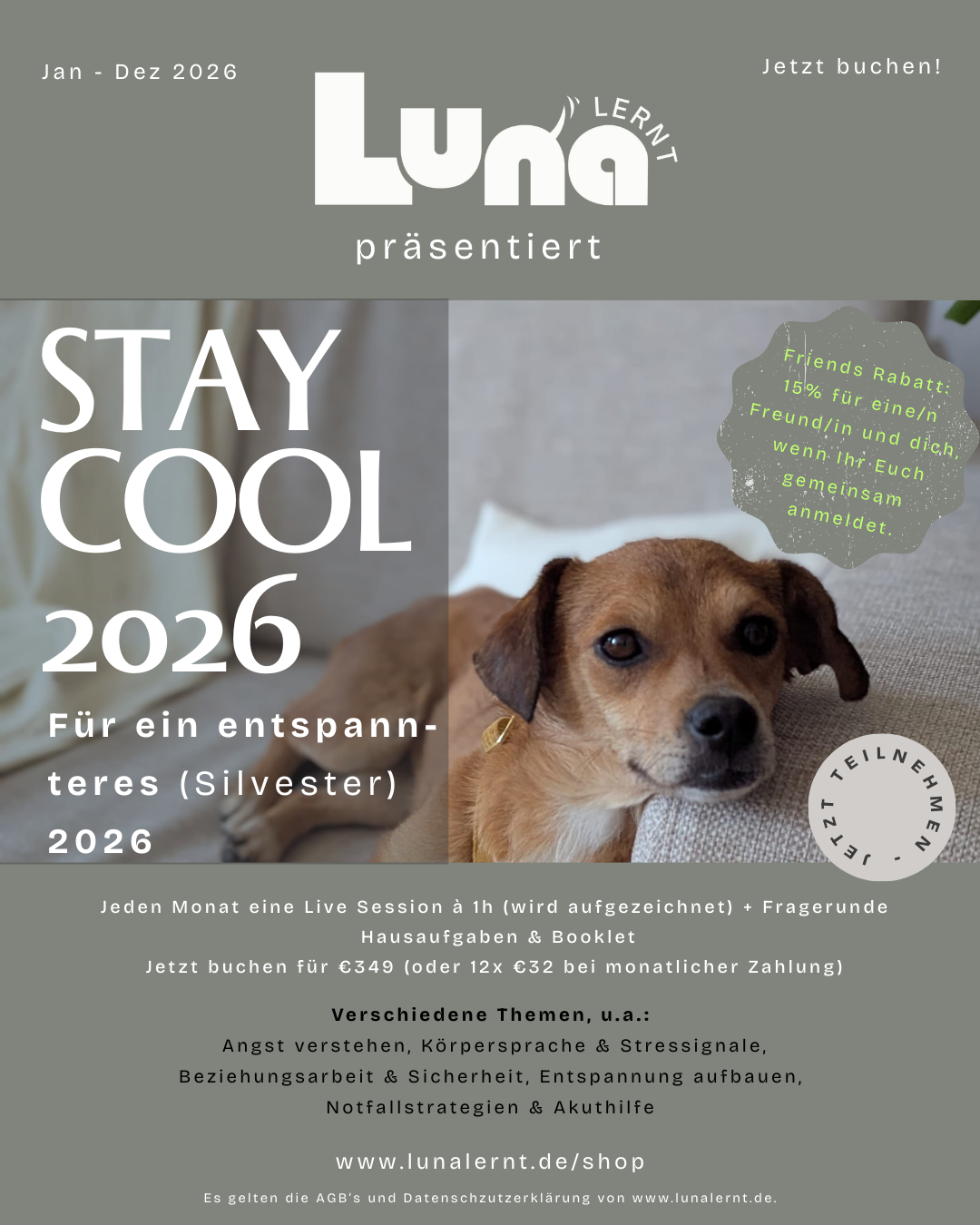 Stay Cool 2026 - Für ein entspanntes (Silvester) 2026