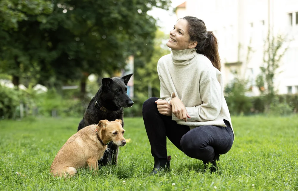 Gassi Service mit Luna Lernt