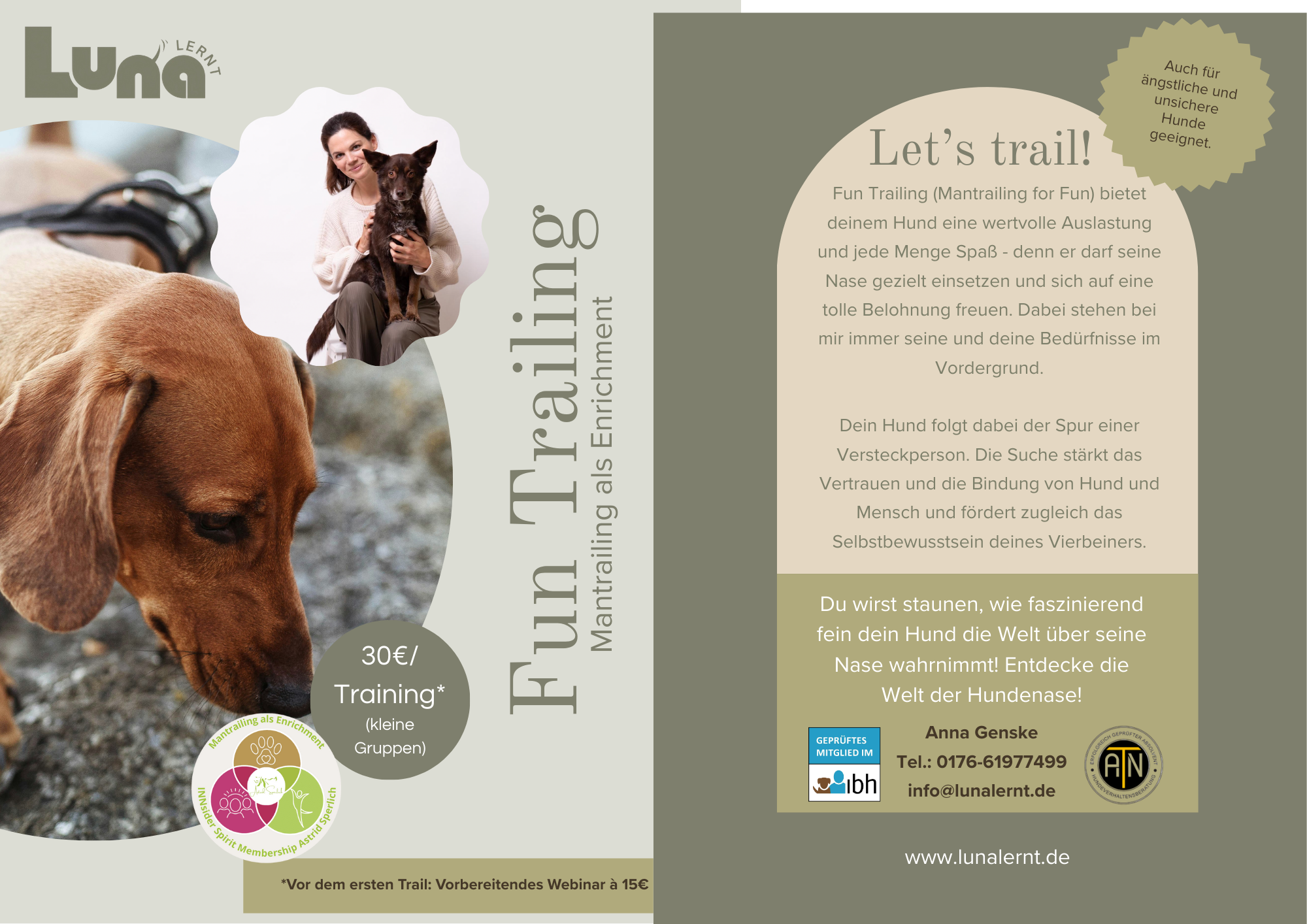 Flyer für Hundetraining, zeigt eine Frau mit Hund, ein nahes Bild eines Dalmatiners, und Informationen zum Training, Preis und Kontakt. Enthält Logos und Text in Deutsch.