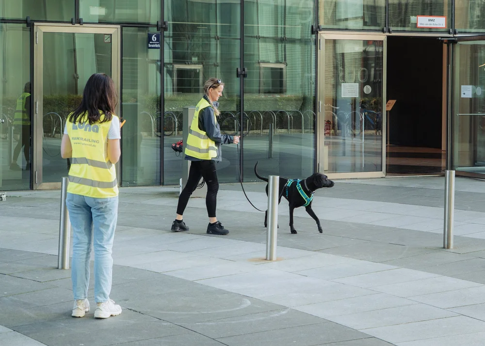 Hund beim Mantrailing