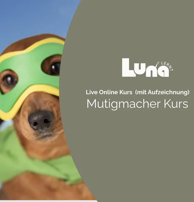 Mutigmacher Kurs – Gemeinsam zu mehr Selbstvertrauen