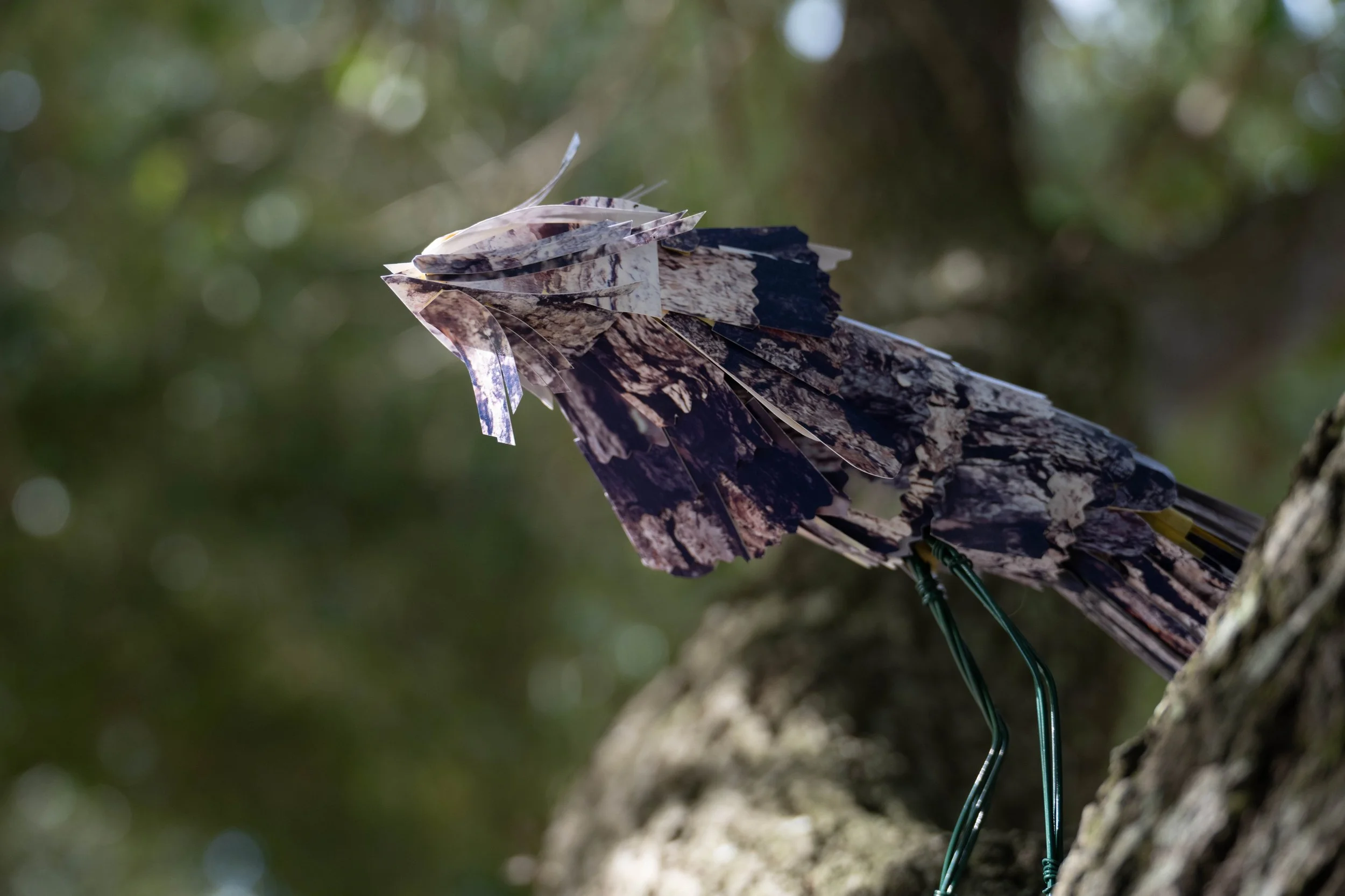 Photo Sculptures