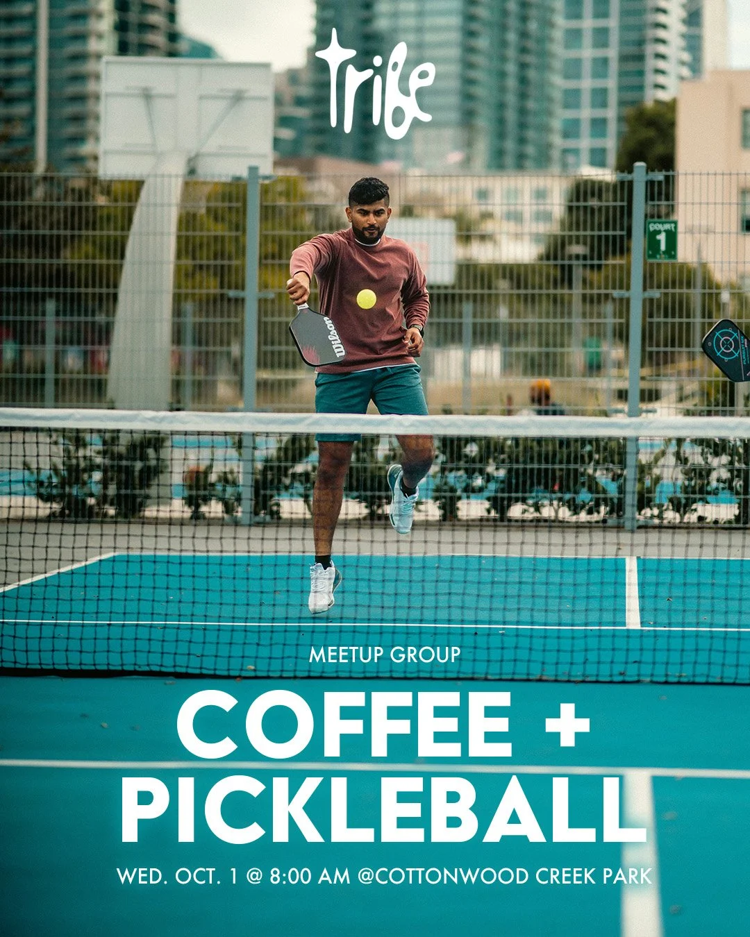 Pickle Ball + Coffee Meetup Group @Cottonwood creek park